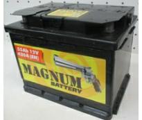 Аккумулятор 6ст - 55 (Magnum) пп