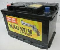 Аккумулятор Magnum 039643