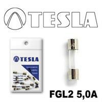 Tesla FGL2 5,0A.10