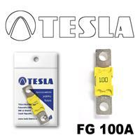 Tesla FG 100A