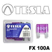 Tesla FX 100A.10