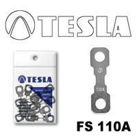 Tesla FS 110A.10