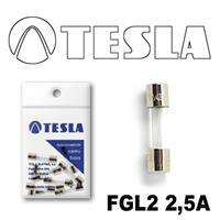 Tesla FGL2 2,5A.10