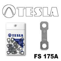 Tesla FS 175A.10